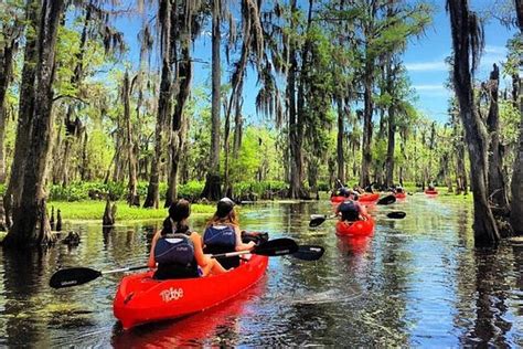 Experience the eerie beauty of Manchac on a magical boating adventure
